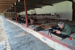 batch_20240217_092005