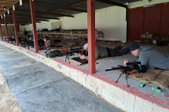 batch_20240217_092013